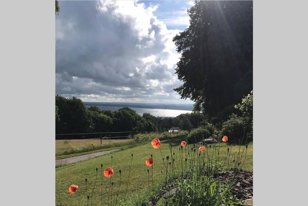 Villa Med Fantastisk Utsikt Båstad Buitenkant foto