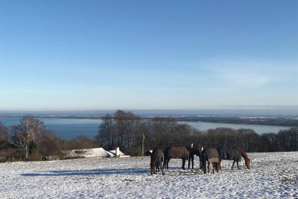 Villa Med Fantastisk Utsikt Båstad Buitenkant foto