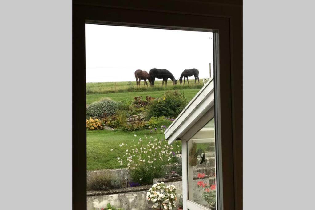 Villa Med Fantastisk Utsikt Båstad Buitenkant foto